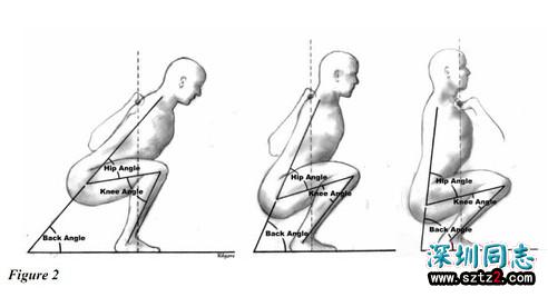 健身知识：深蹲动作的杠杆系统